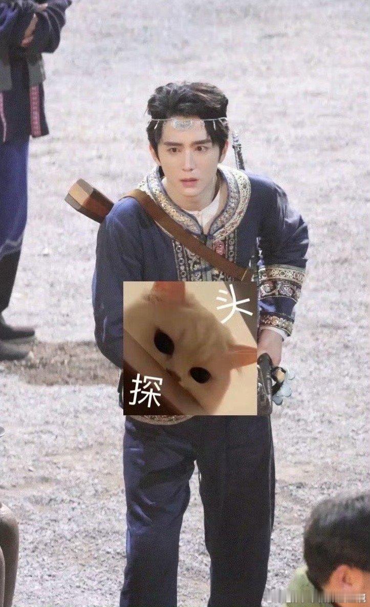 一直想说，感觉张新成有点斗鸡眼…… 