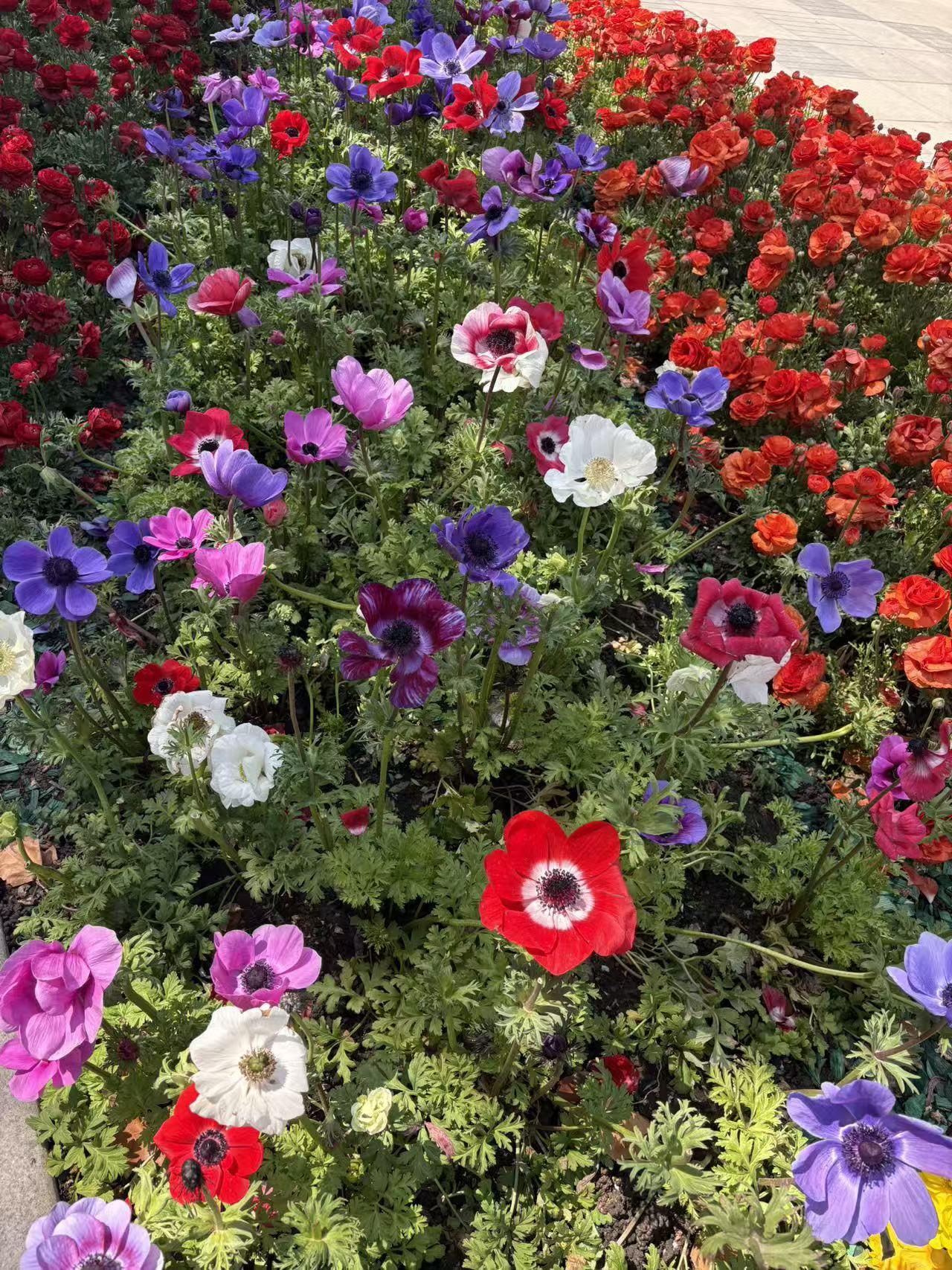 春日生活打卡季 春日生活超有氛围感！别再羡慕别人朋友圈的春日打卡，咱也能低成本拥