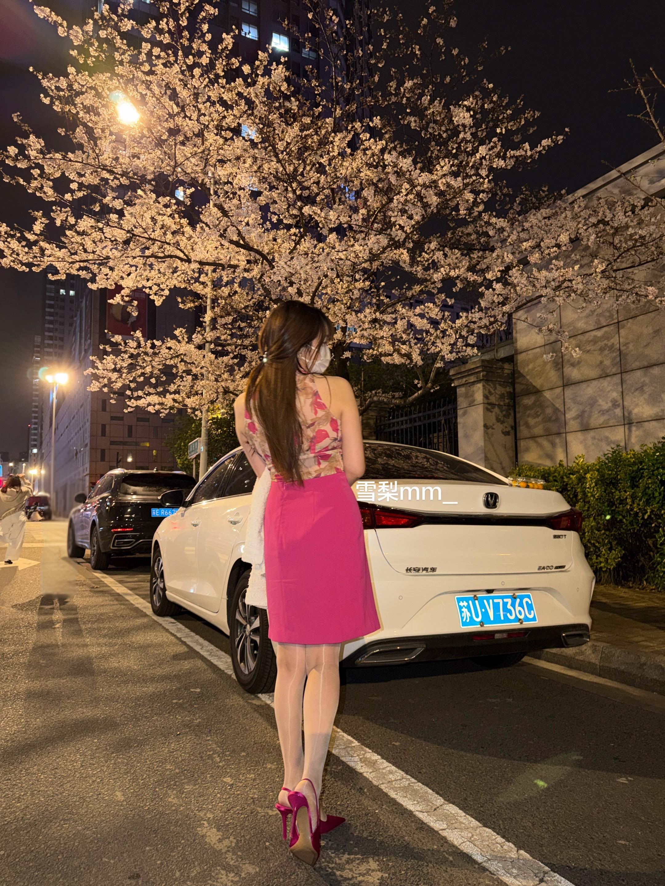 夜樱 春分街樱花