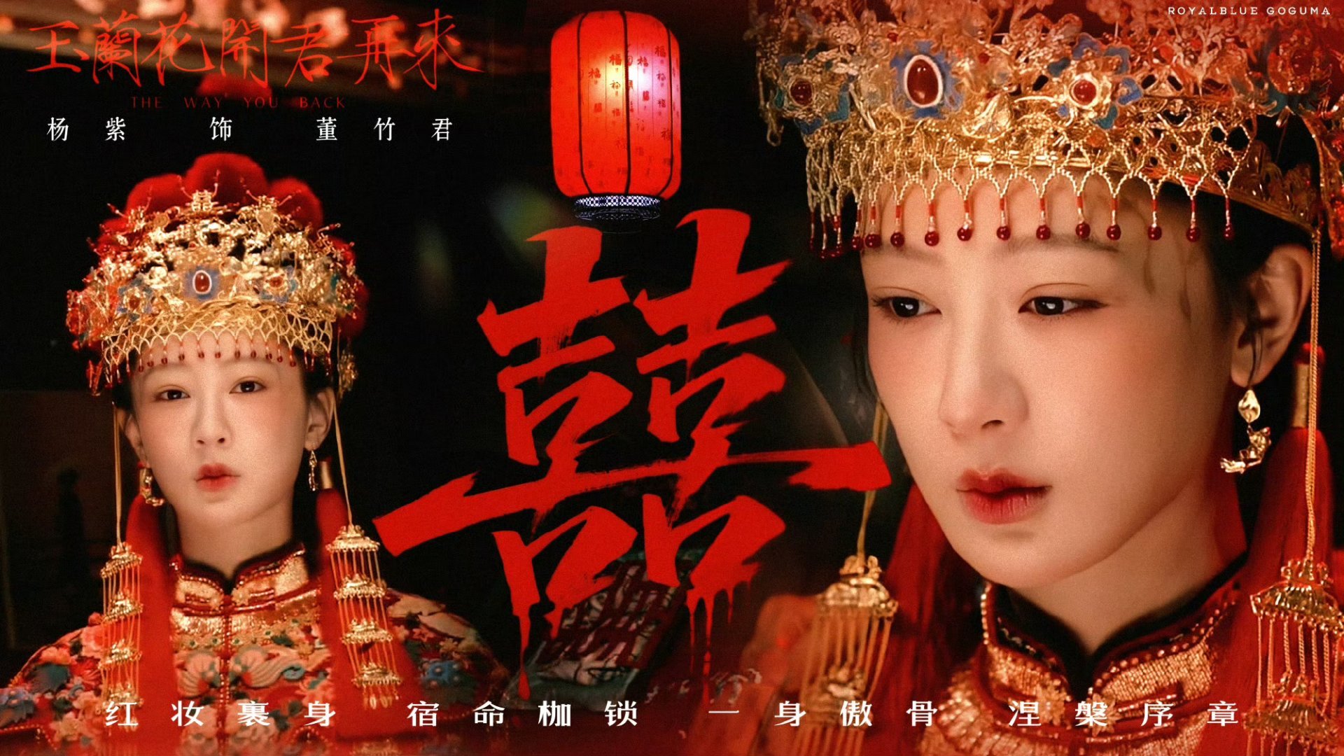 杨紫罗马时装周杨紫董竹君：你可曾爱过我杨阳：从未 