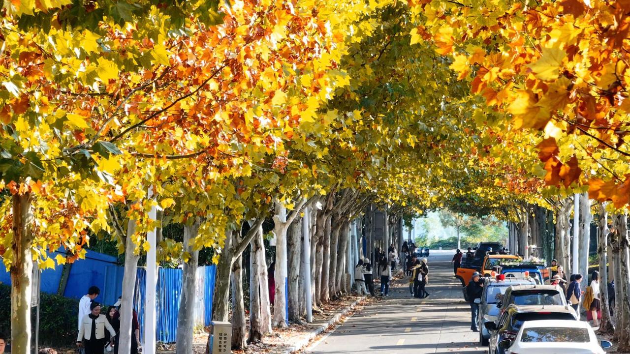 读《近思录》之2.89.3

恶旨酒，崇伯子之顾养；育英才，颍封人之锡类。不弛劳