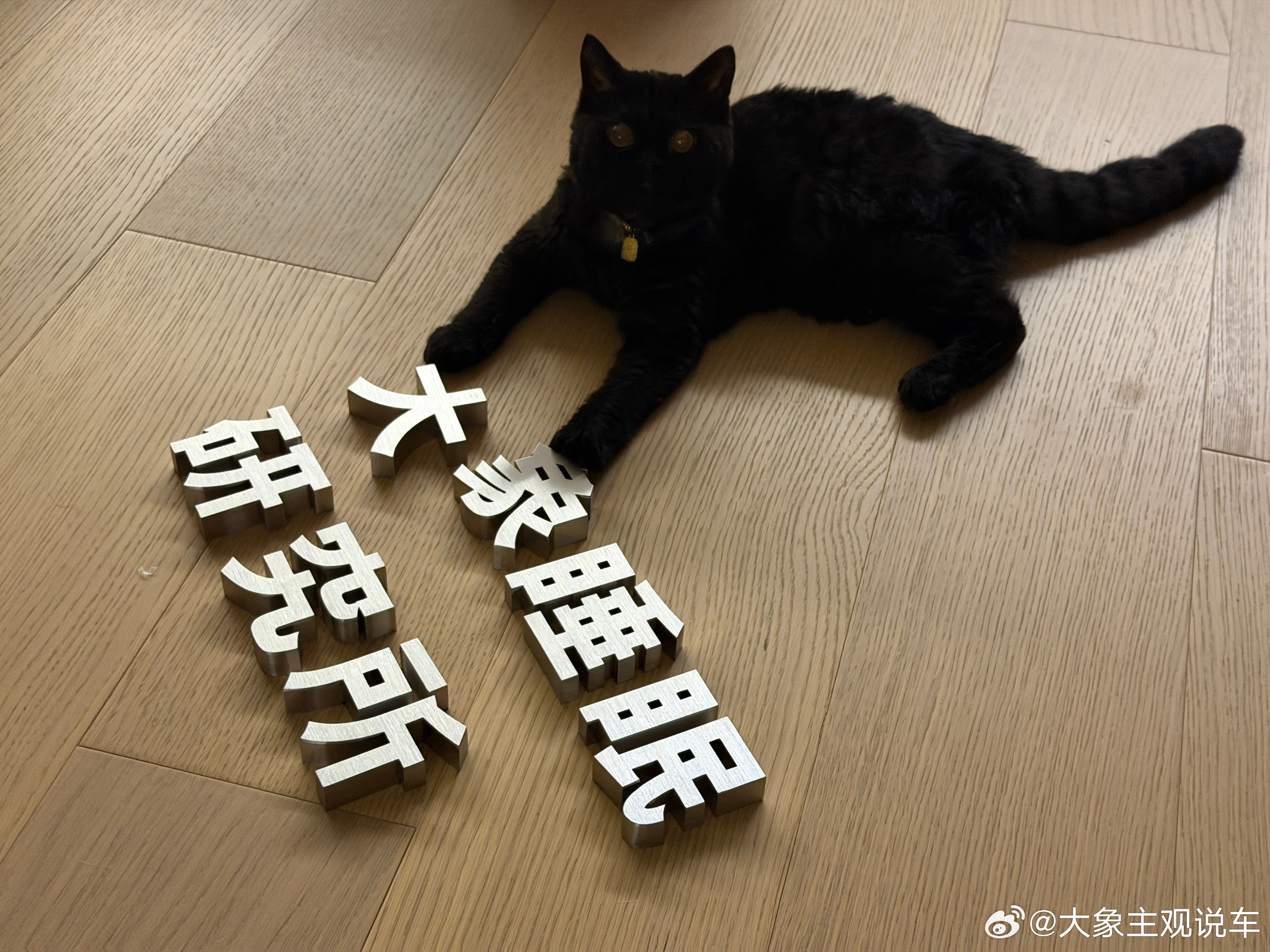 yami好可爱啊