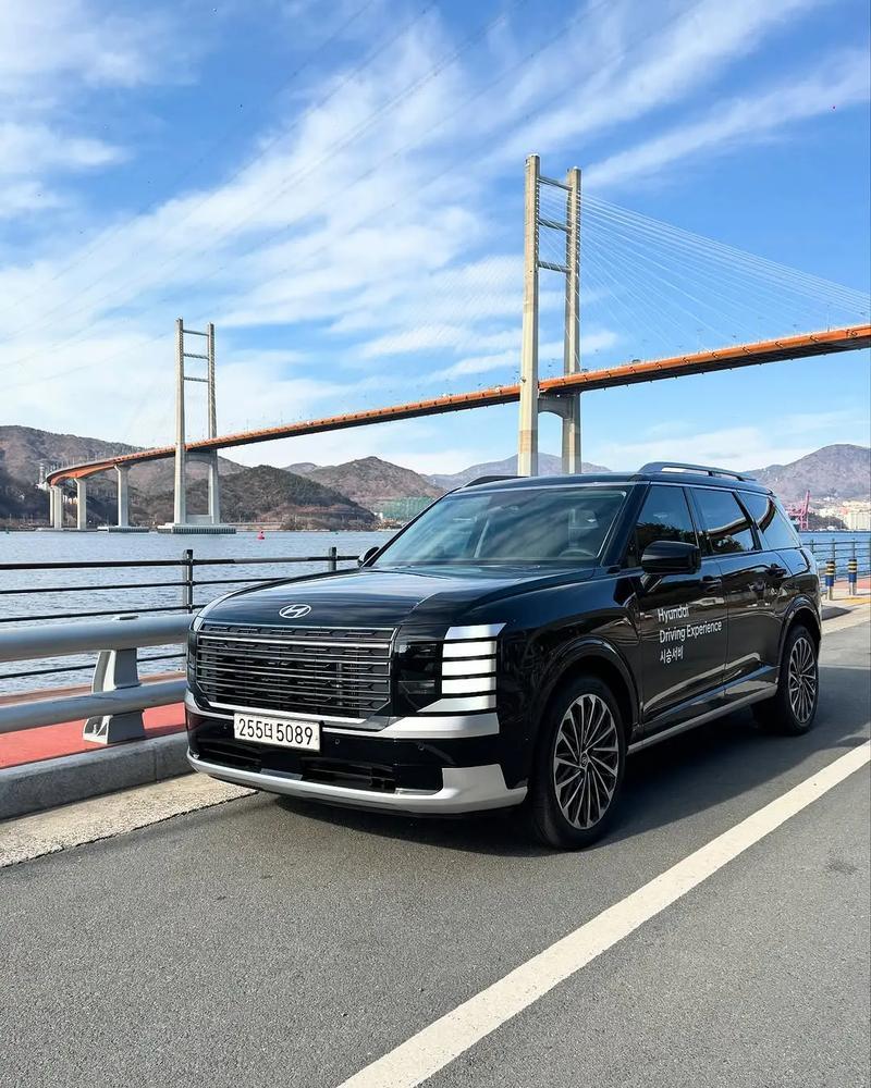 【因安全隐患！帕里斯帝在美国暂停销售】
现代汽车 2026 款全新帕里斯帝（PA