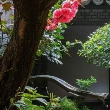 别将眼下困境视作人生终点，那些难熬的波折皆是蜕变的序章。沉下心积蓄力量，跨过磨难