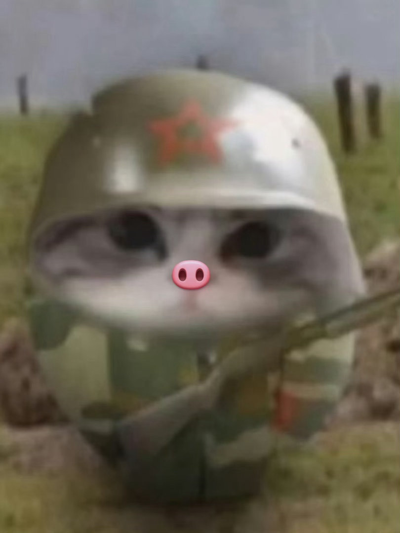 别欺负新兵蛋子 