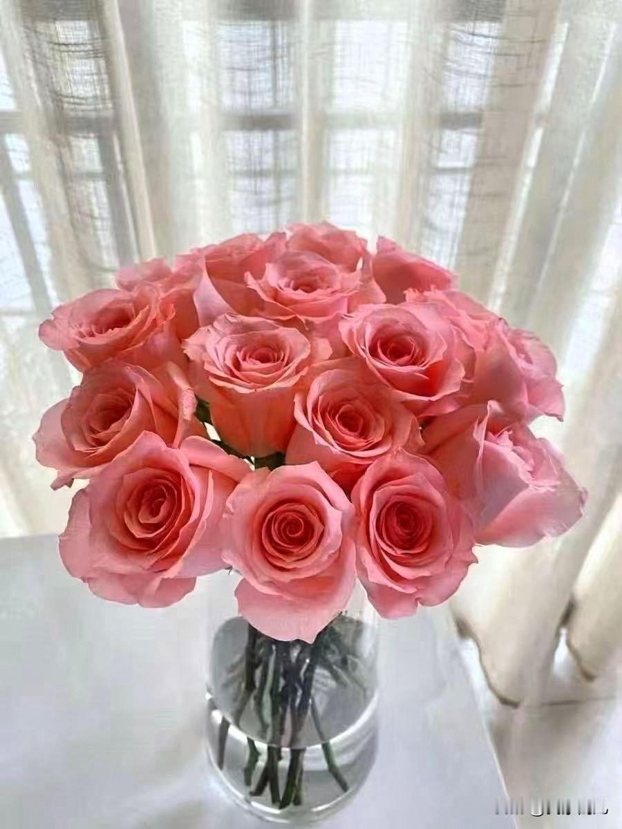 愿你在新年的烟火里，
从容应对每一场社交考验，
不尴尬、不内耗、
不讨好，守得住