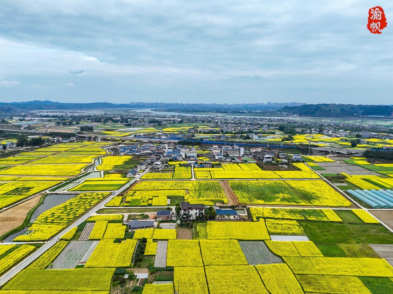 潼南赏花地图 | 避开人潮！又挖到一处免费油菜花海🌼
🚗当很多赏花景区被游客