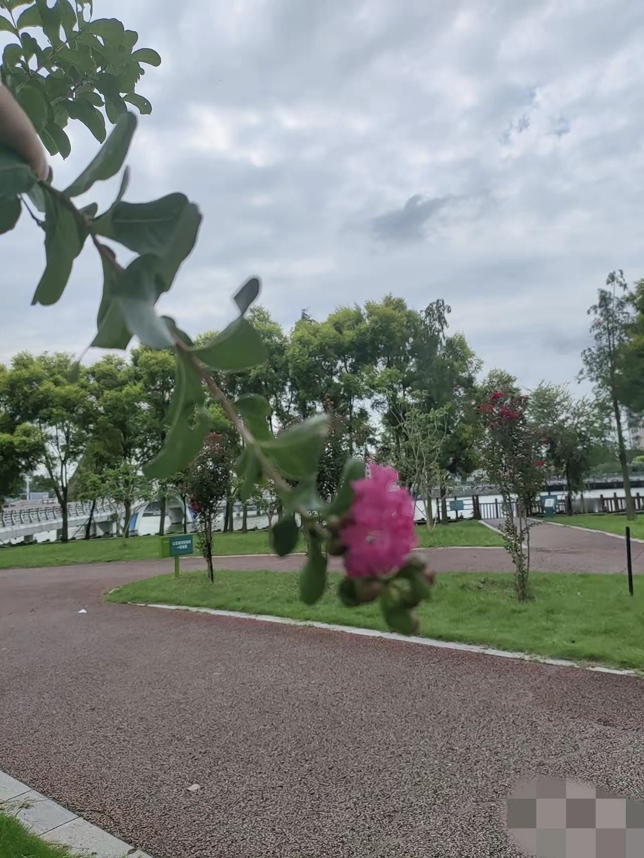 最多再过十年，大家就会看清一个真相:
一、健康的源头，是土壤
别觉得这是扯空话，