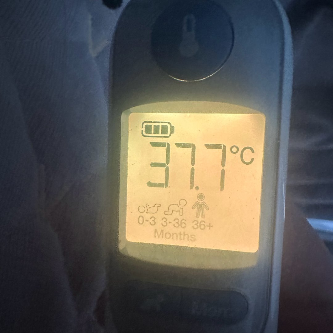 经过艰难的斗争之后我又热了 