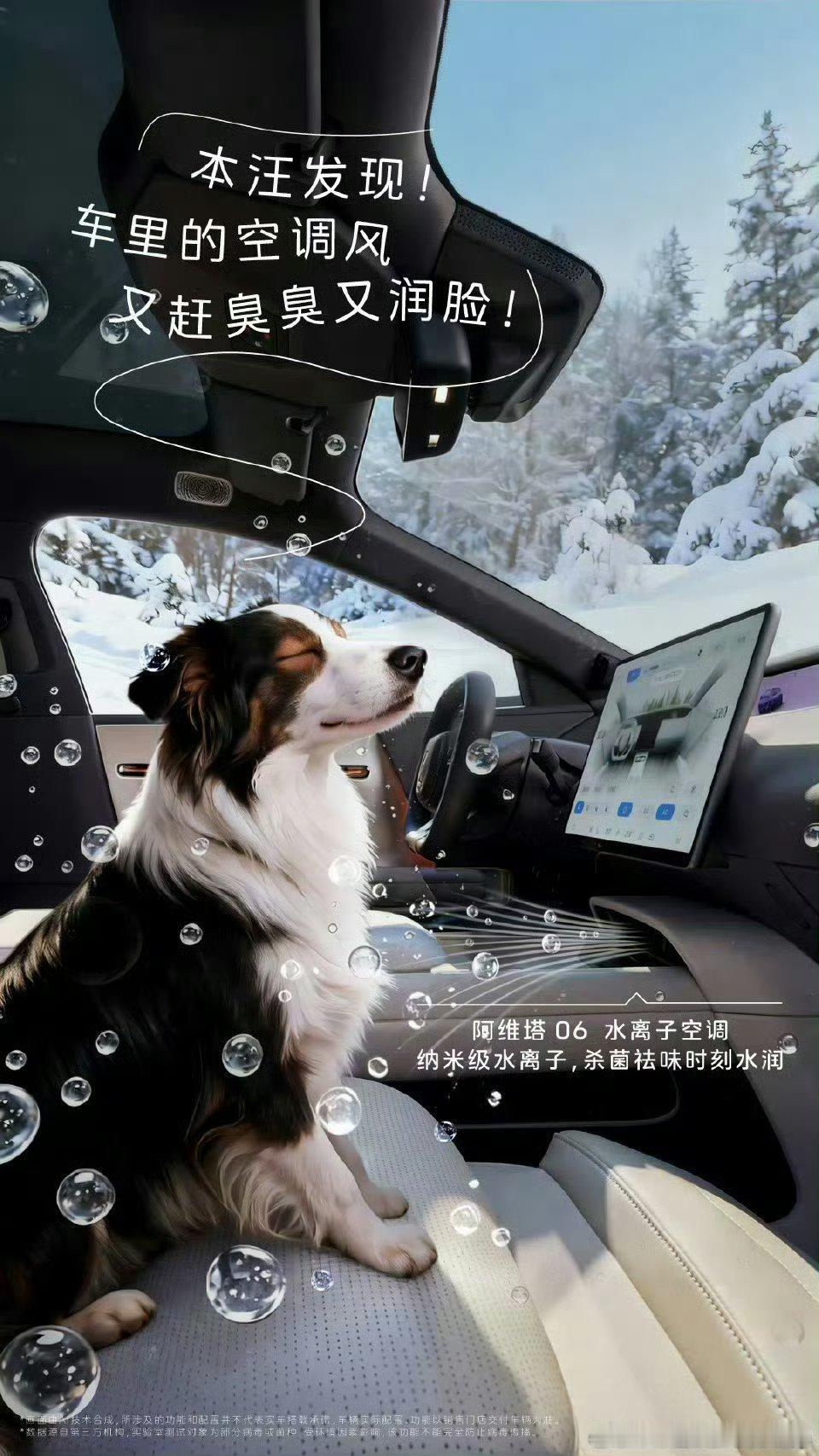 边牧宝宝都被阿维塔06的水离子空调圈粉啦！纳米级水离子不仅能杀菌祛味赶走车内“臭