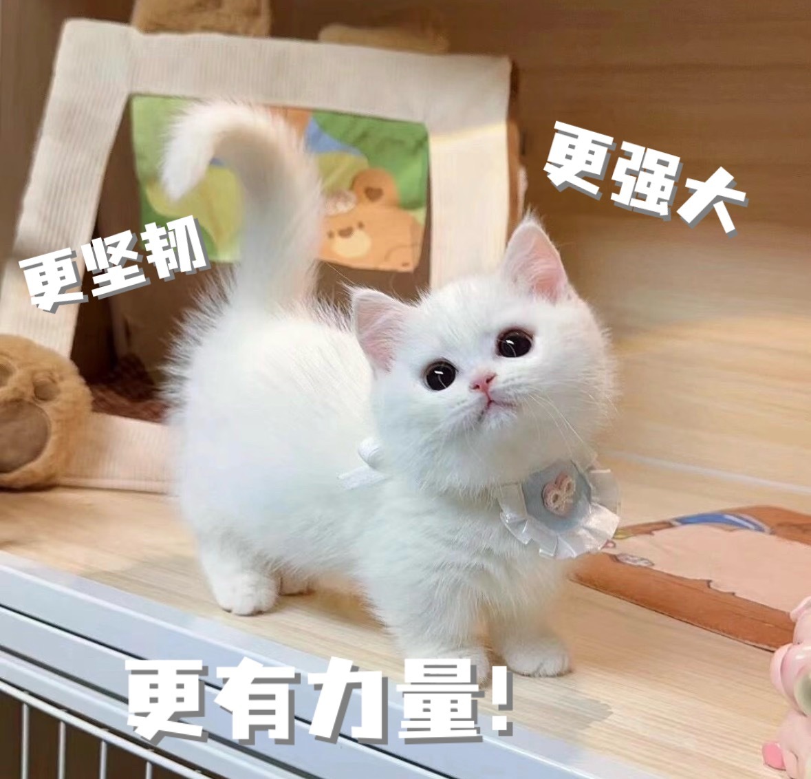 今天的孔雪儿： 