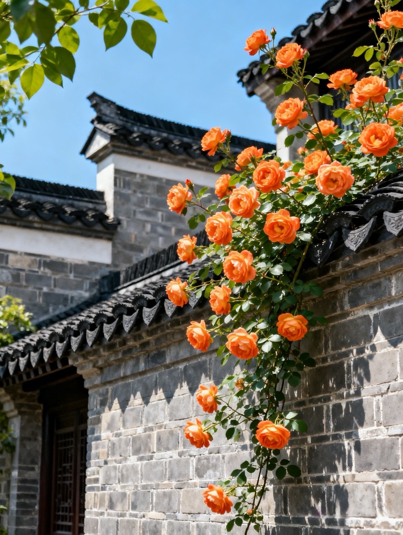 保持清醒，自带锋芒不依附、不卑微、不内耗你只有足够珍贵才会被偏爱与珍惜早安