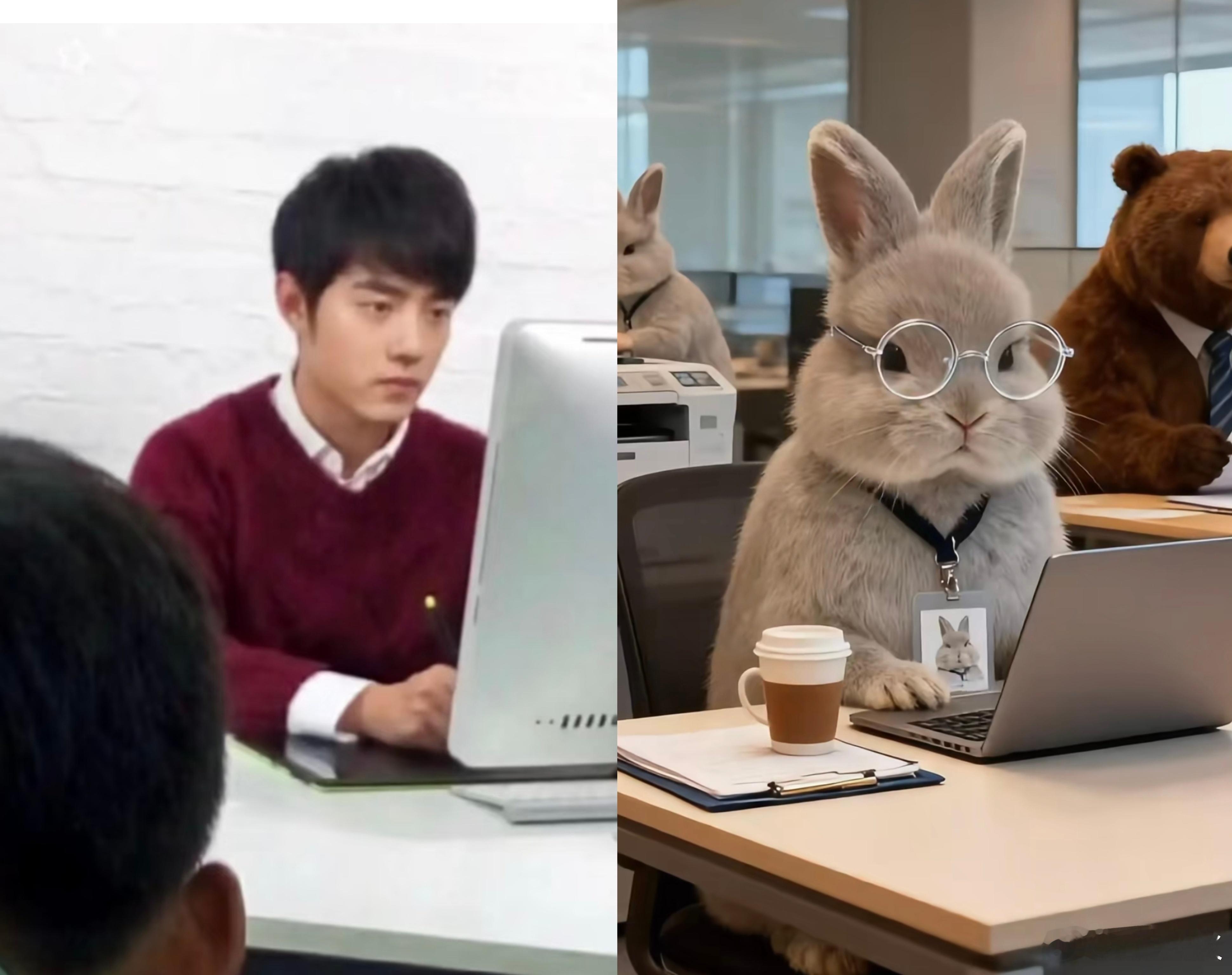 哈哈哈社畜兔，一毛一样 ​​​