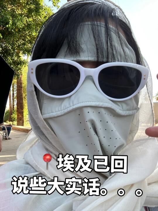 埃及已回，真的崩溃了啊。。。