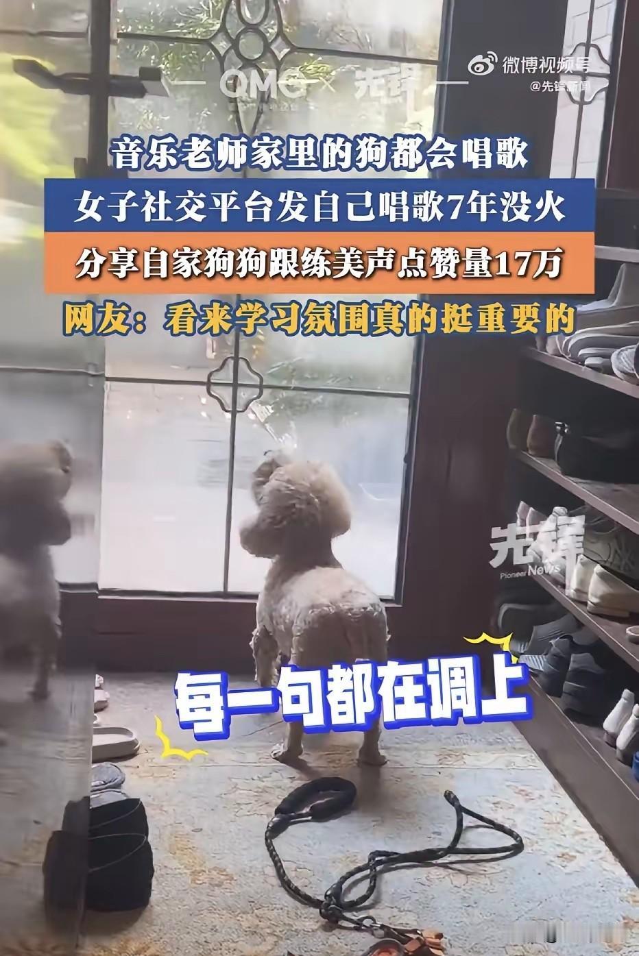 上海，一位音乐老师，发了7年自己的唱歌作品，结果一直无人问津，让人万万没想到的是