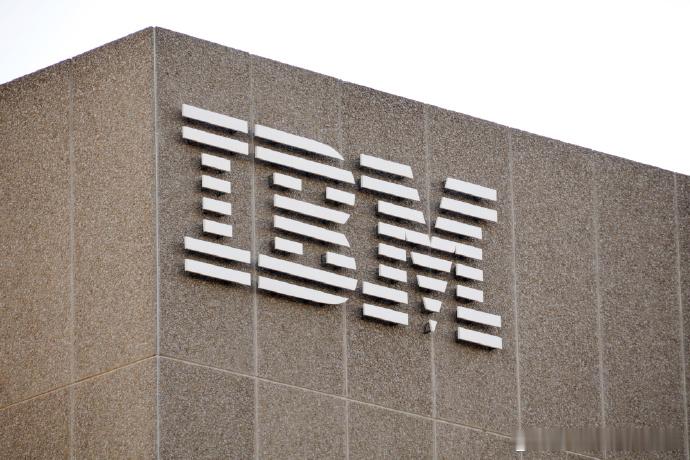 IBM CEO 阿尔温德 · 克里希纳和 CFO 吉姆 · 卡瓦诺试图向投资者解