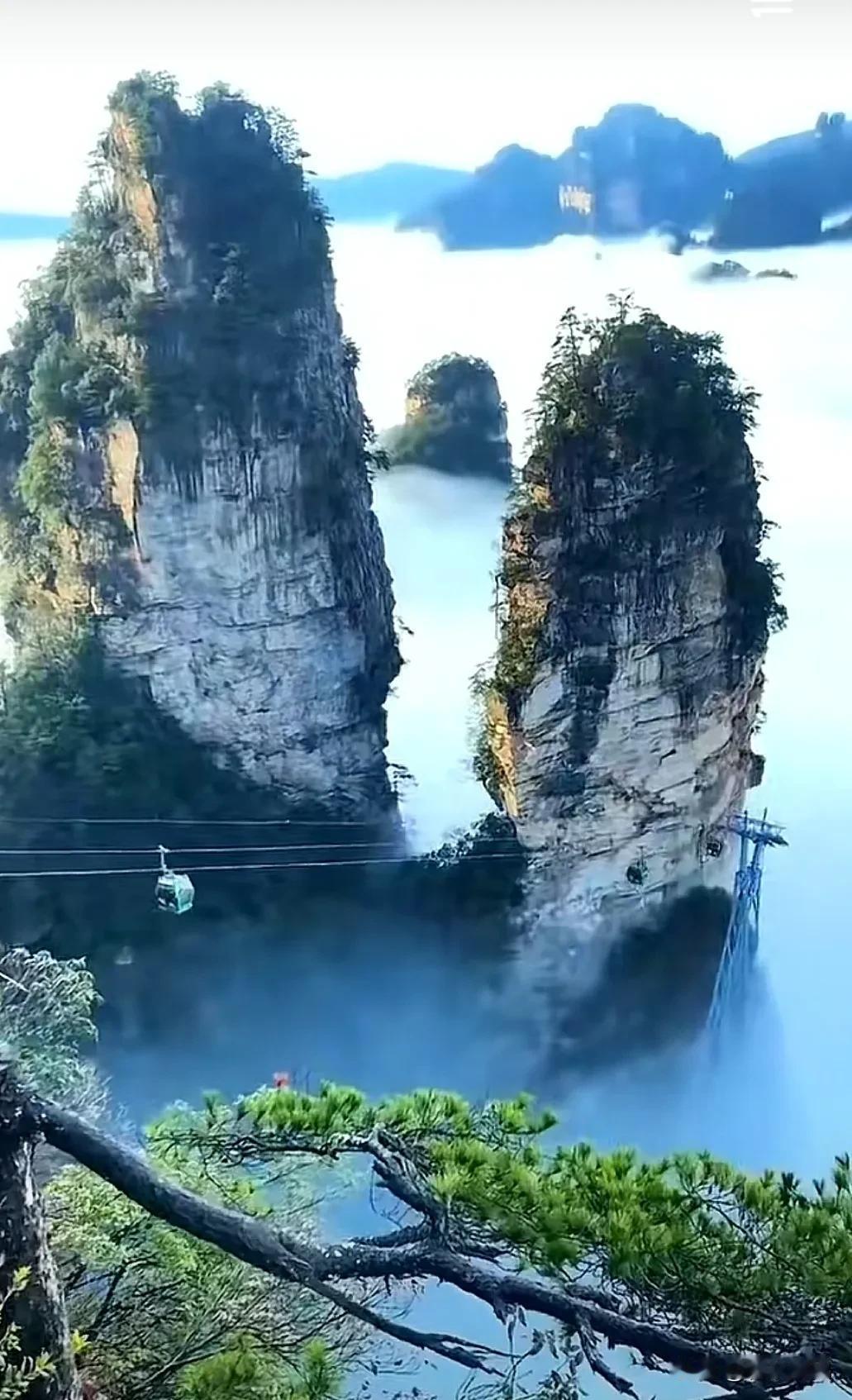 朱元璋::宁肯不选，也不能让元朝的地主羔子，衙内官二代混进朝庭来！

洪武六年到