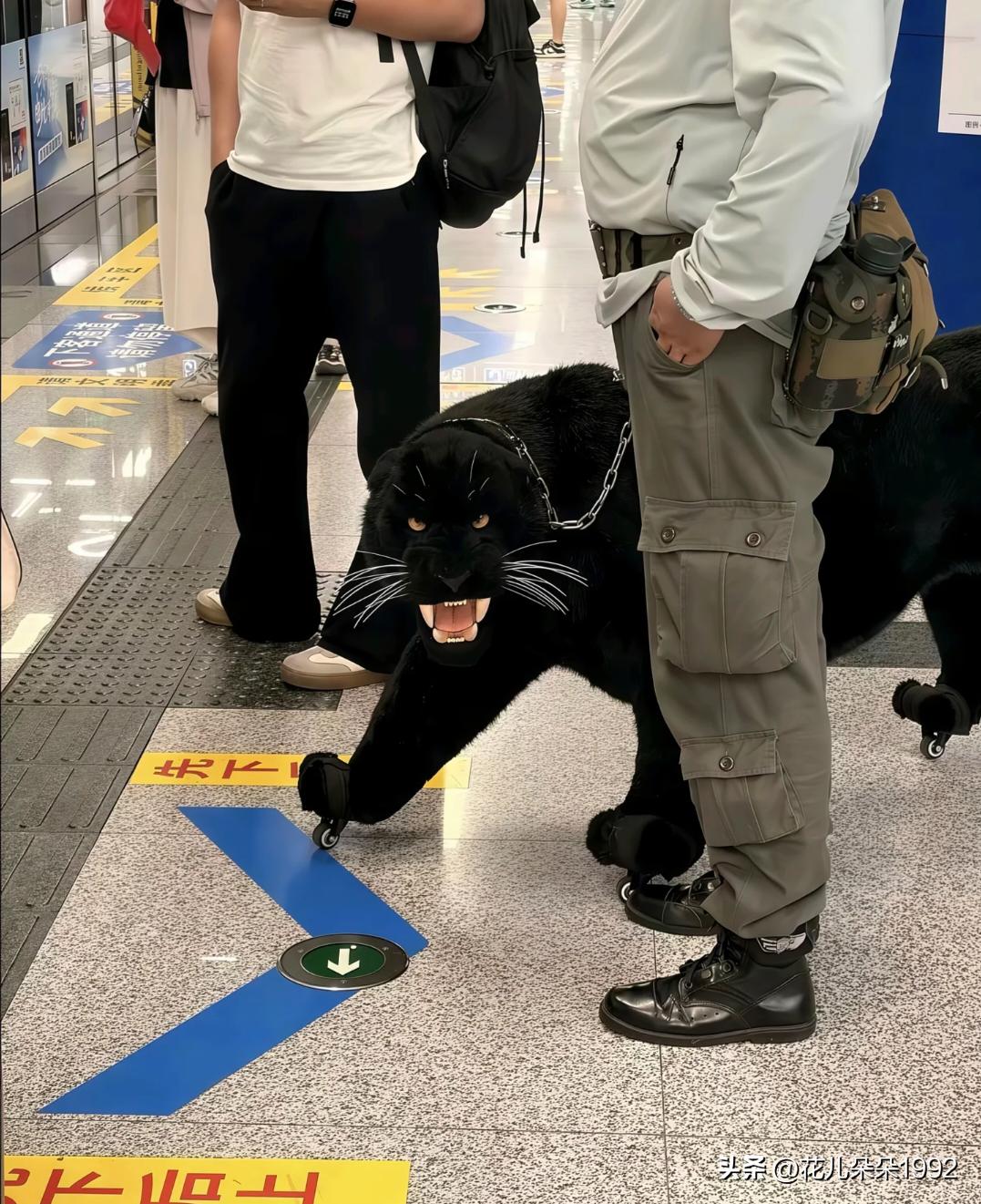 等地铁看见这个，我还以为是这个人不在两侧排队，这个黑豹是起到一个文明劝导的作用。
