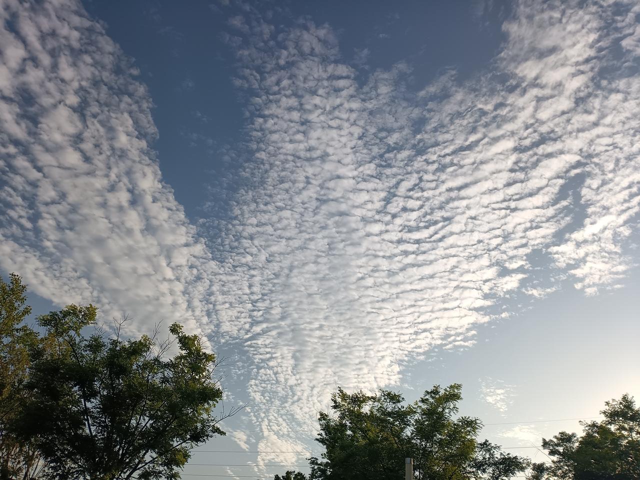 夕阳轻吻云絮，鱼鳞状白云铺展蓝天，树影衬着柔光，时光在此刻温柔定格。
