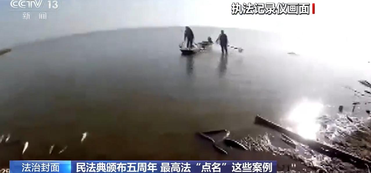 放生2.5万斤鲶鱼祈福，赔款5.8万？结局太意外！
一位心存善念的徐某，为了给家