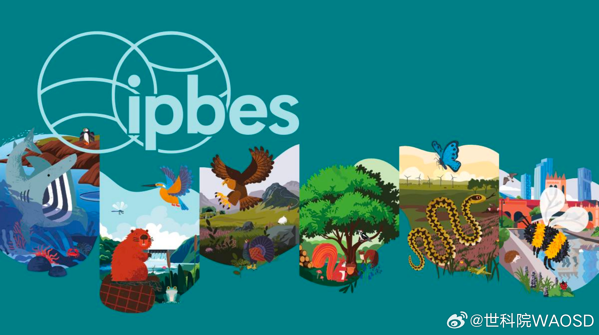 生物多样性成为商业新风口？世科院带你直击IPBES全球沟通会现场6月17日，生物