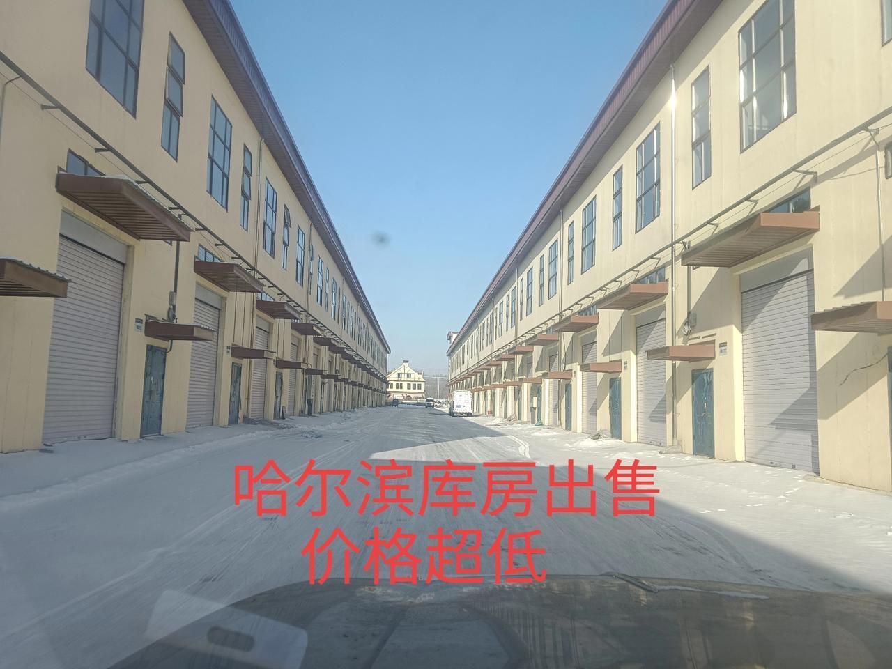 我是哈尔滨一名普通老百姓，最近明显感觉身边人都在紧着过日子，大家好像都没以前宽裕