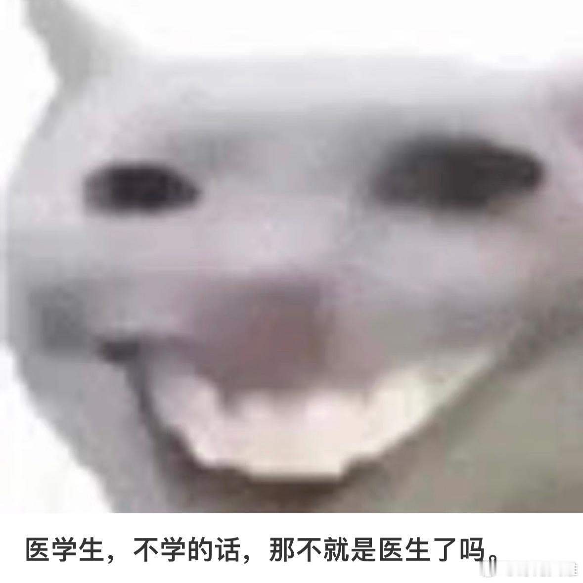 医学生，不学的话，那不就是医生了吗。 