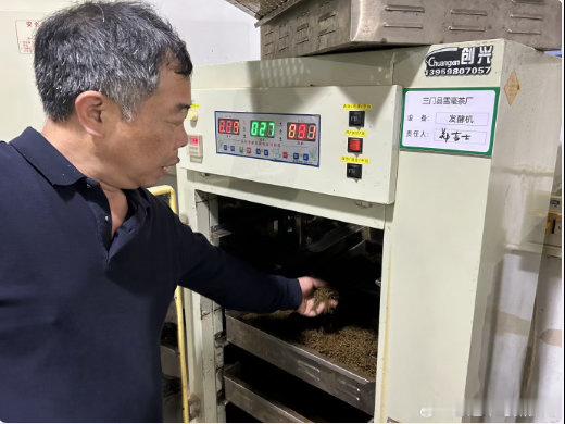 从散到聚台州用一片叶子串起茶农致富链三门珠岙镇巧用数字化赋能传统茶产业，年轻干部