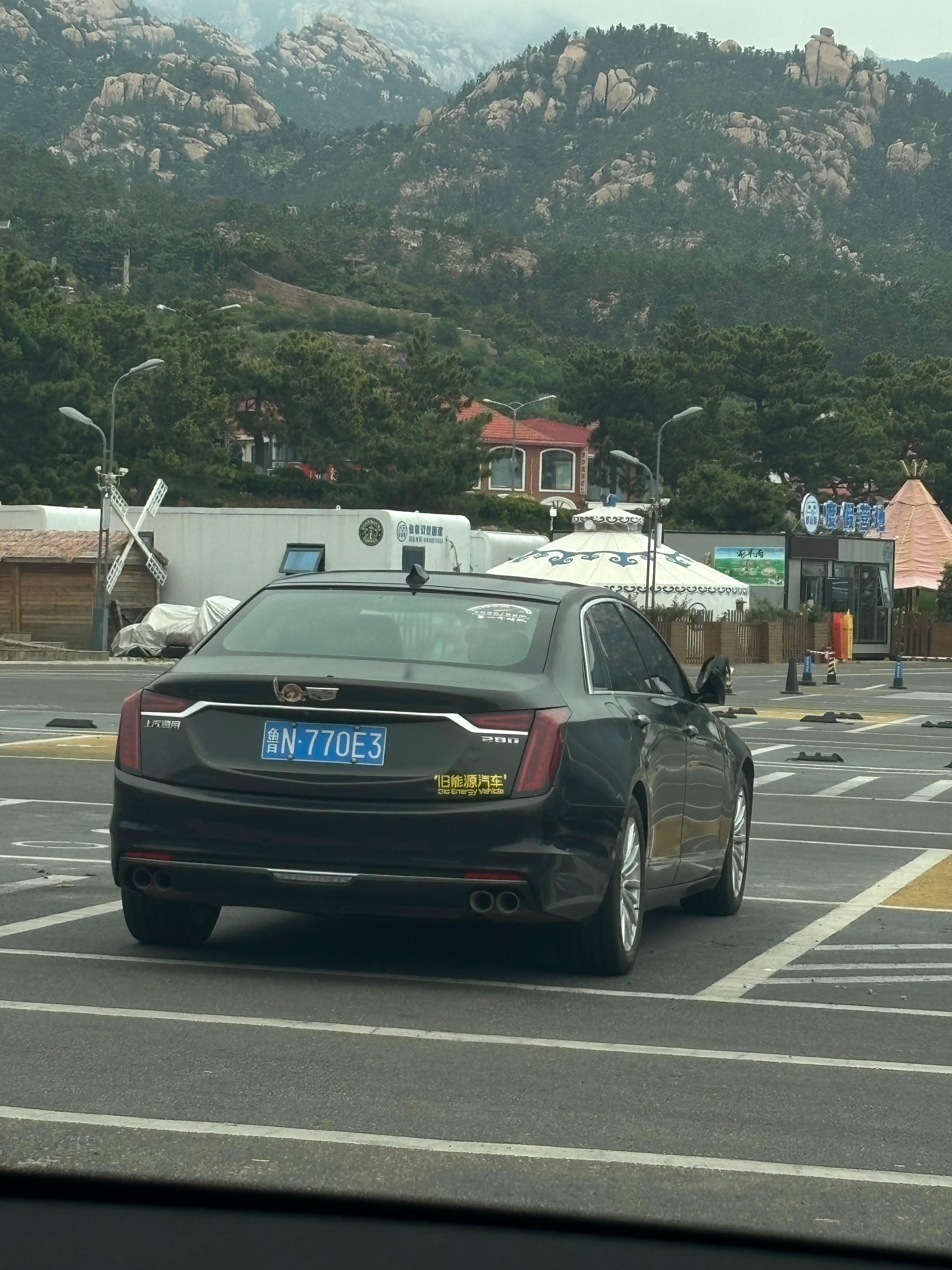 反向玩梗，“旧能源汽车”，看来这个车主没少被调侃？