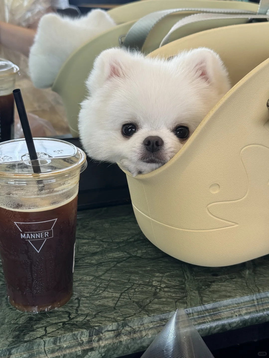 喝杯黄皮美式☕️