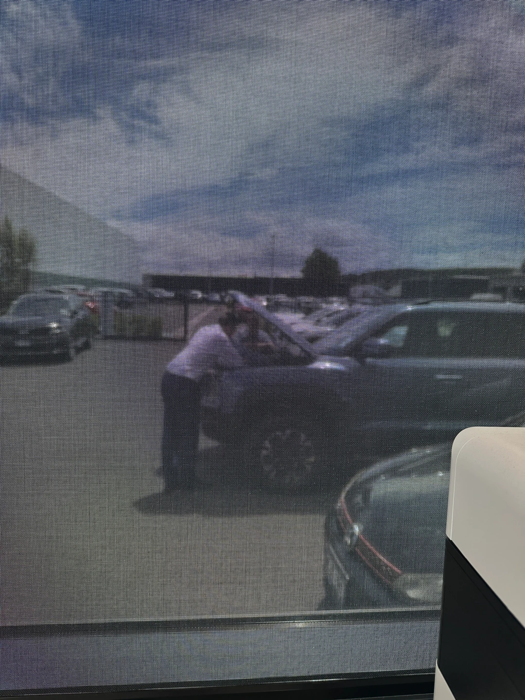 🇳🇿新西兰日常-两张图片总有一张震撼你