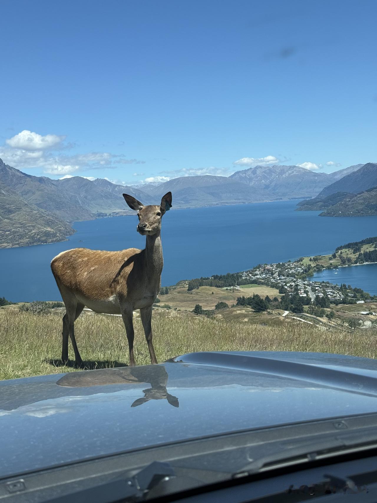 西贝餐饮与深圳海雅缤纷城的商业纠纷，双方争执的焦点是什么？。为什么称西贝是"最不