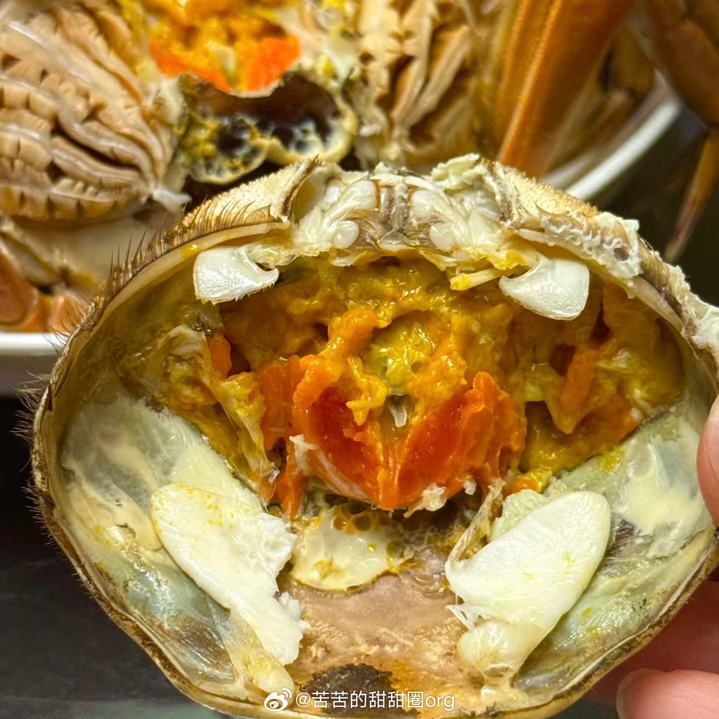 秋天的仪式感，从来都藏在一只饱满的大闸蟹里。刚拆开箱子的时候，一只只青背白肚的螃