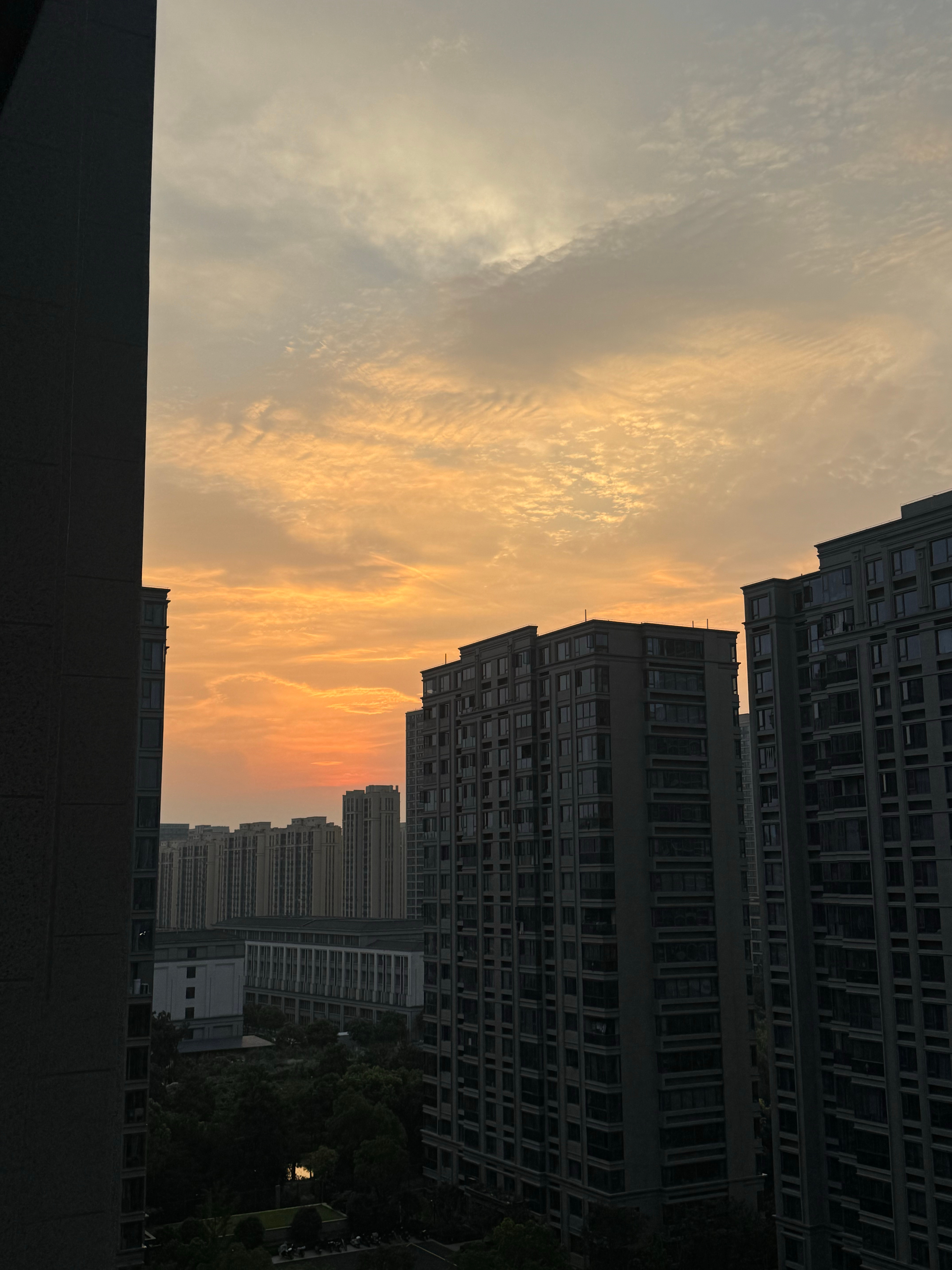 啊啊啊我回杭州了！ ​​​