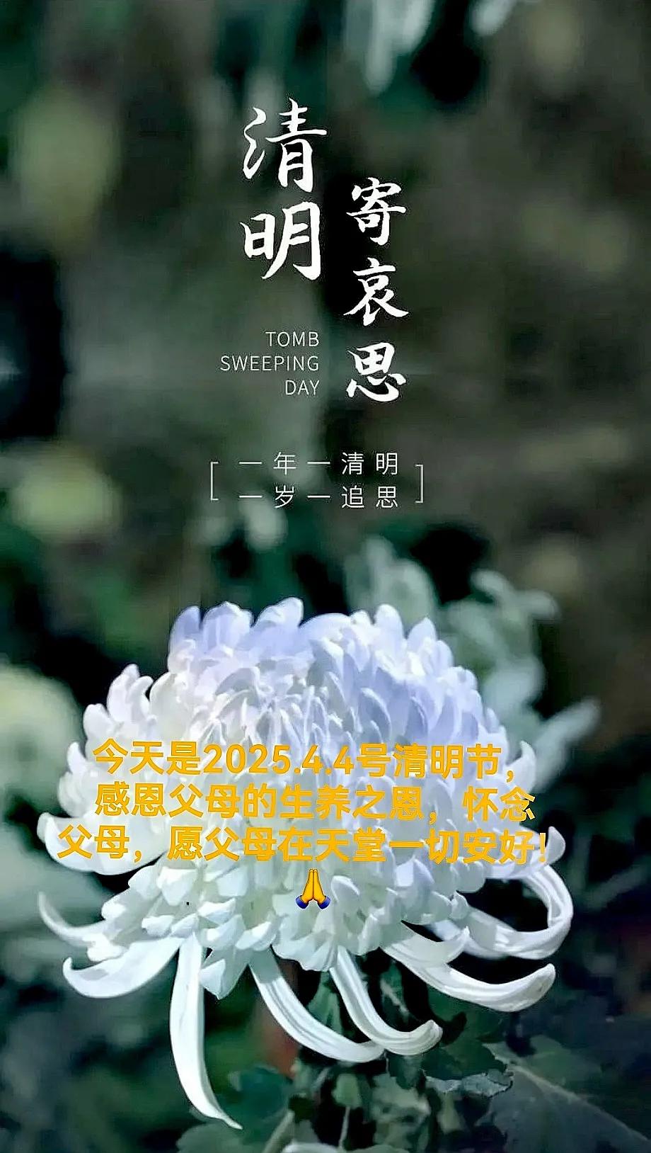 今天是2025.4.4号清明节，感恩父母的生养之恩，怀念父母，愿父母在天堂一切安