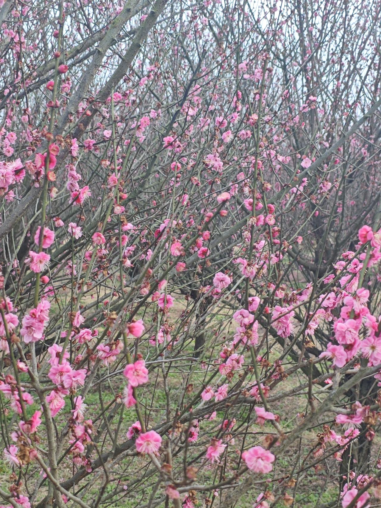 幼儿园在编与非在编教师年收入差距
 
同岗位、同工作量情况下，湖北襄阳及中西部多