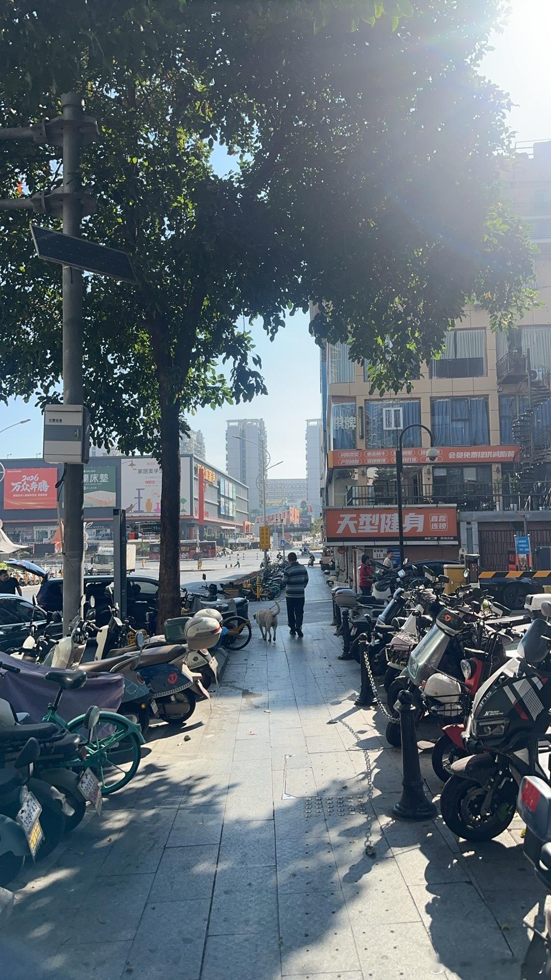 今年真要穿短袖过年了吗？好颠啊 深圳