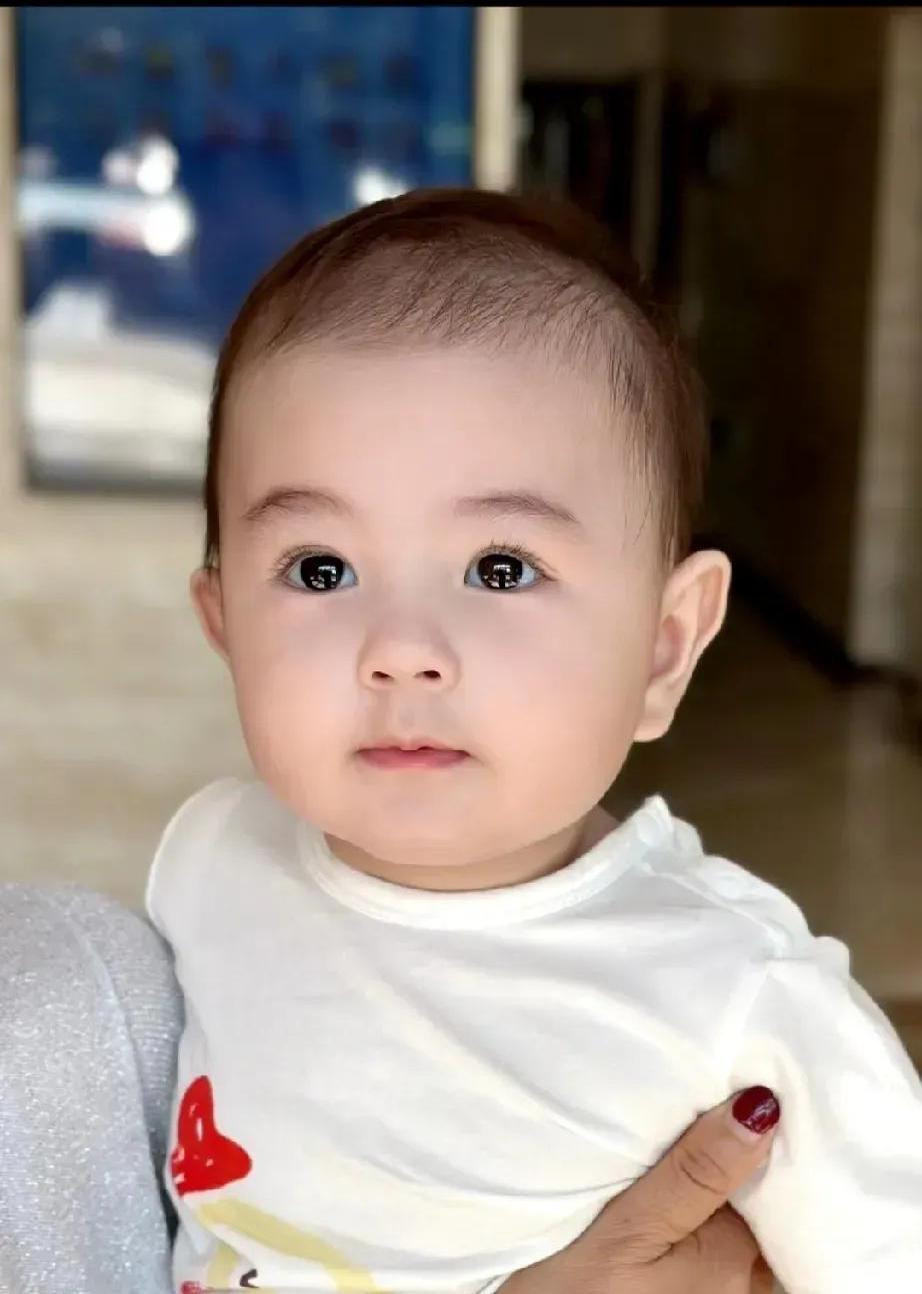 最近刷微博，看到好多人都在晒娃，忍不住感叹基因真是太神奇了！尤其是明星家的孩子，