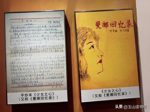 初中时读过半部手抄本《第12张美人皮》，是一个反特惊悚故事。
特工首脑叫川子，他