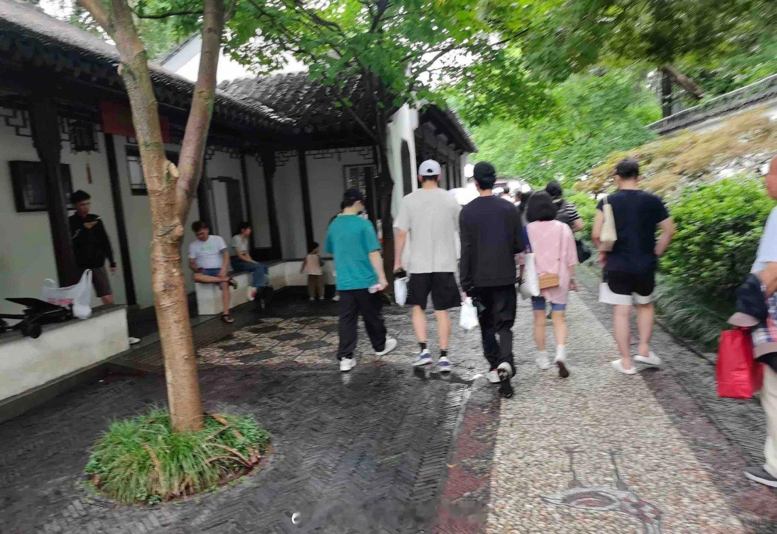 樊振东在苏州被偶遇 有网友晒出一个月前的偶遇，樊振东和潘展乐，还有盛李豪同游拙政