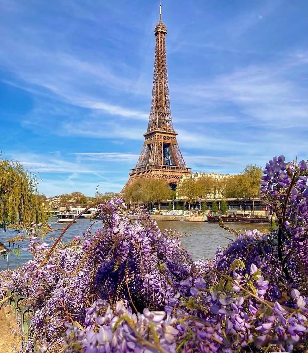 巴黎。春天已经把这座时尚都市的风头全都抢去了。埃菲尔铁塔都成各种小花的陪衬了，更