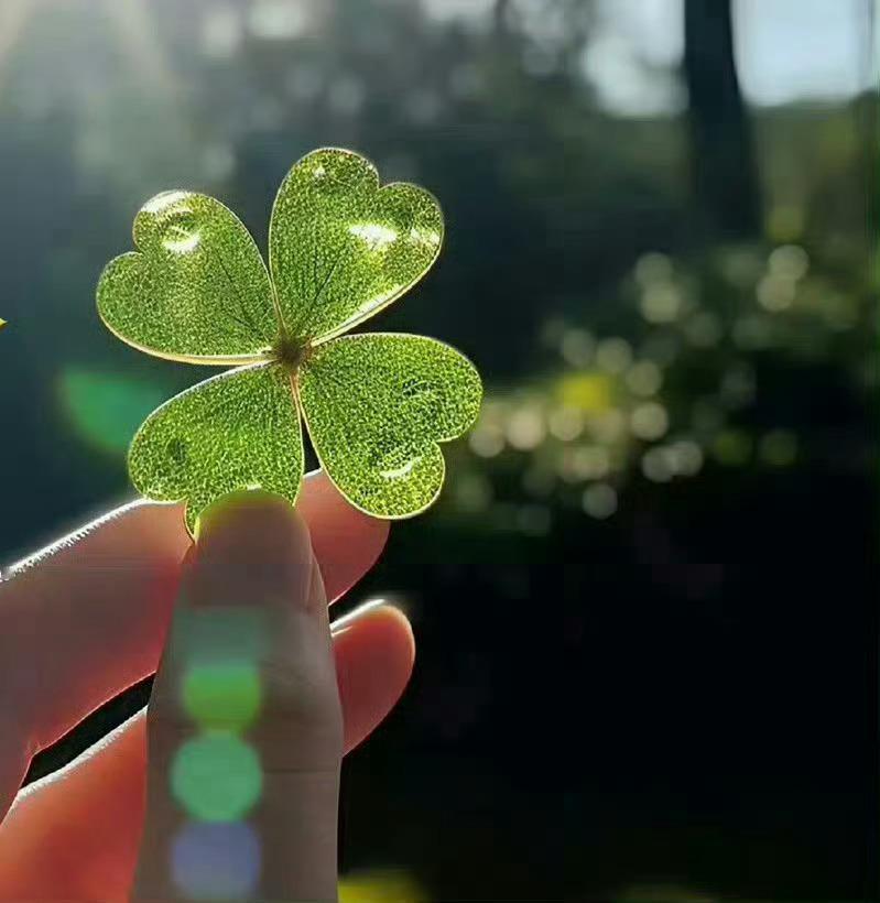 四叶草刷到不要无视 评论很灵的🙏 