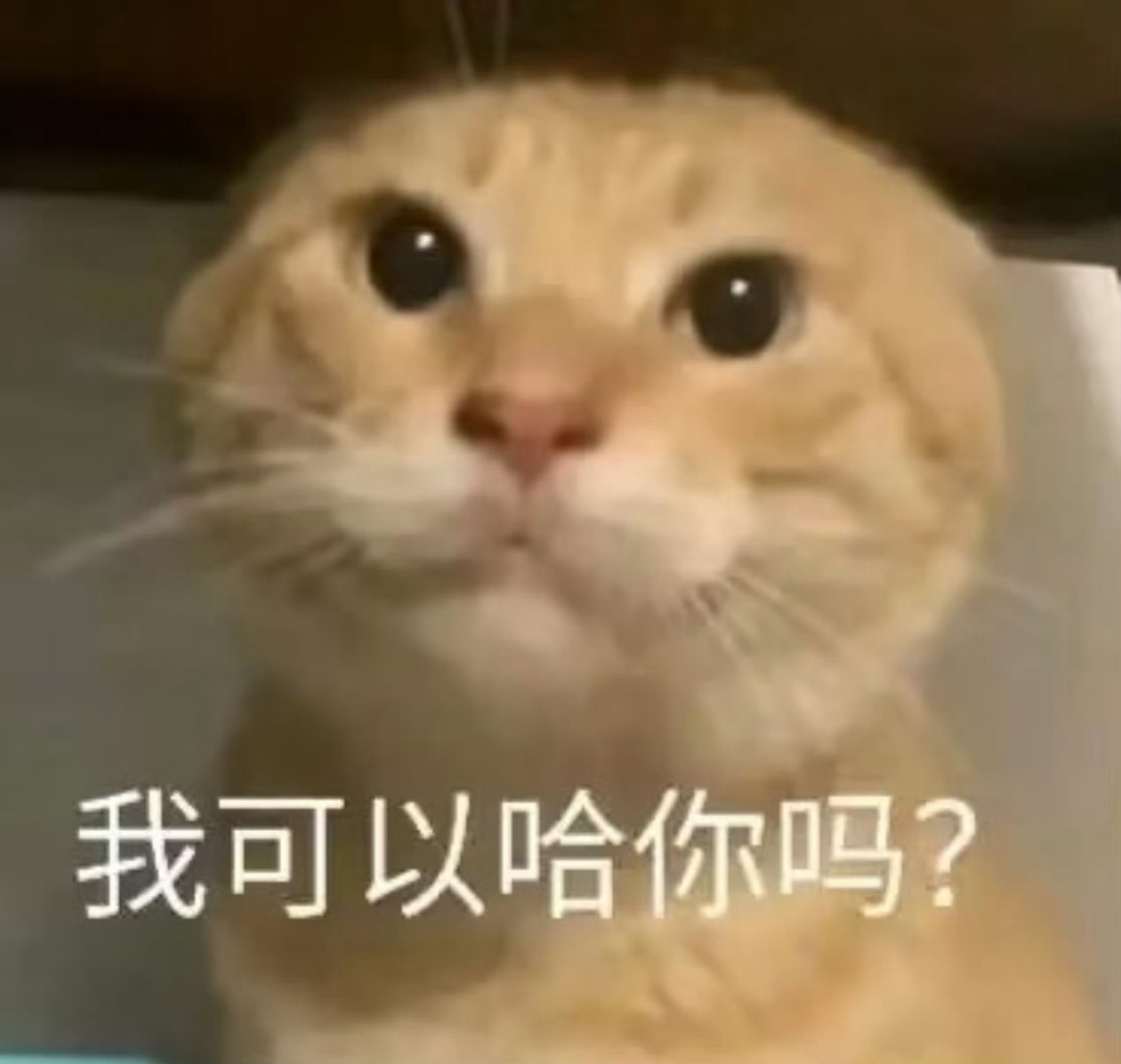 外国游客讽刺中国人不洗澡引众怒标题里为啥不把马来西亚点出来，是害怕友邦惊诧吗？ 