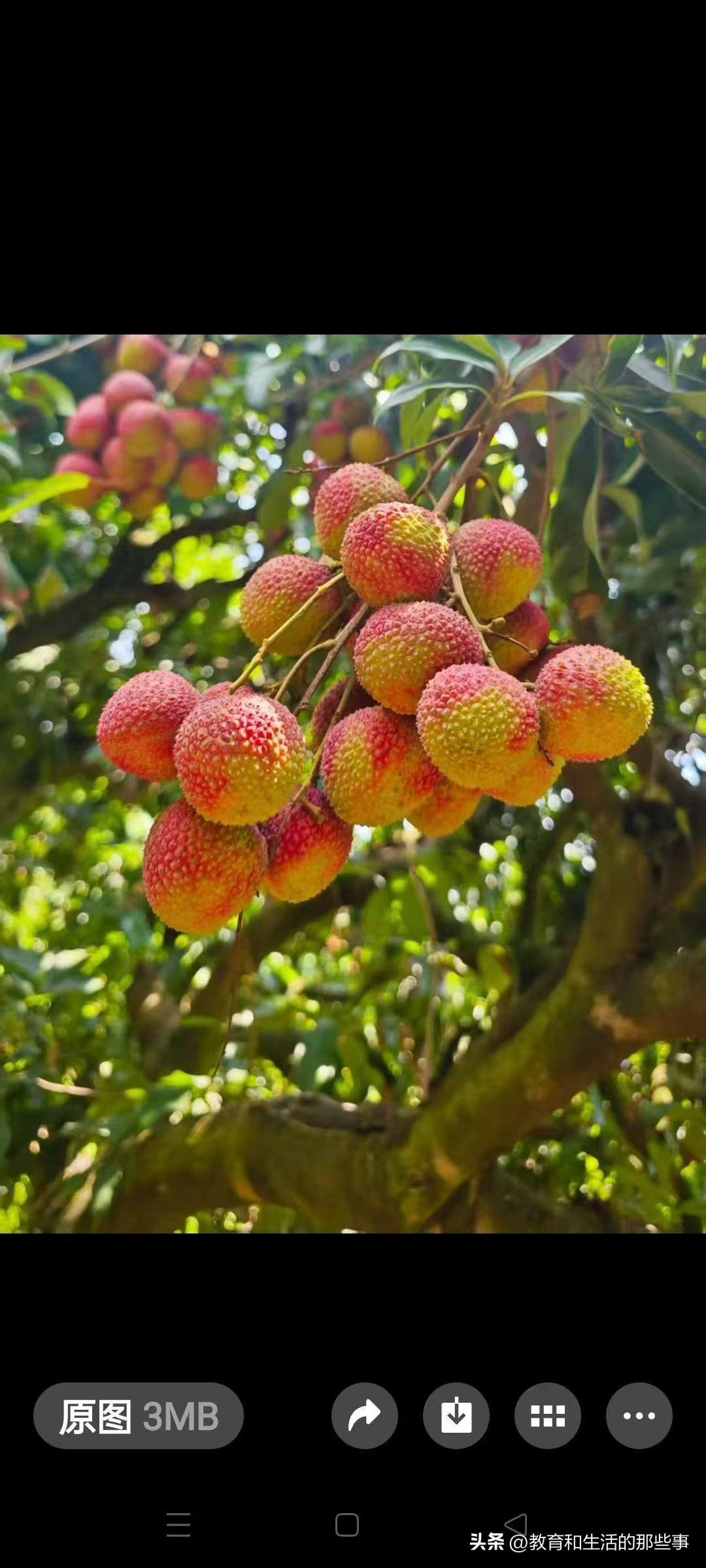 退休存款等级第1级 存款 0元 老了也需要打工
第2级 存款 5千-1万元 需要