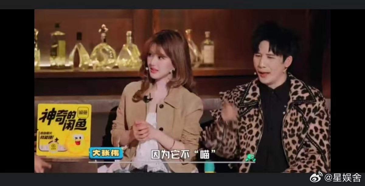 第一次见到大张伟接不上的梗 彻底被这个冷梗征服了！连大张伟都接不住的梗到底有多冷