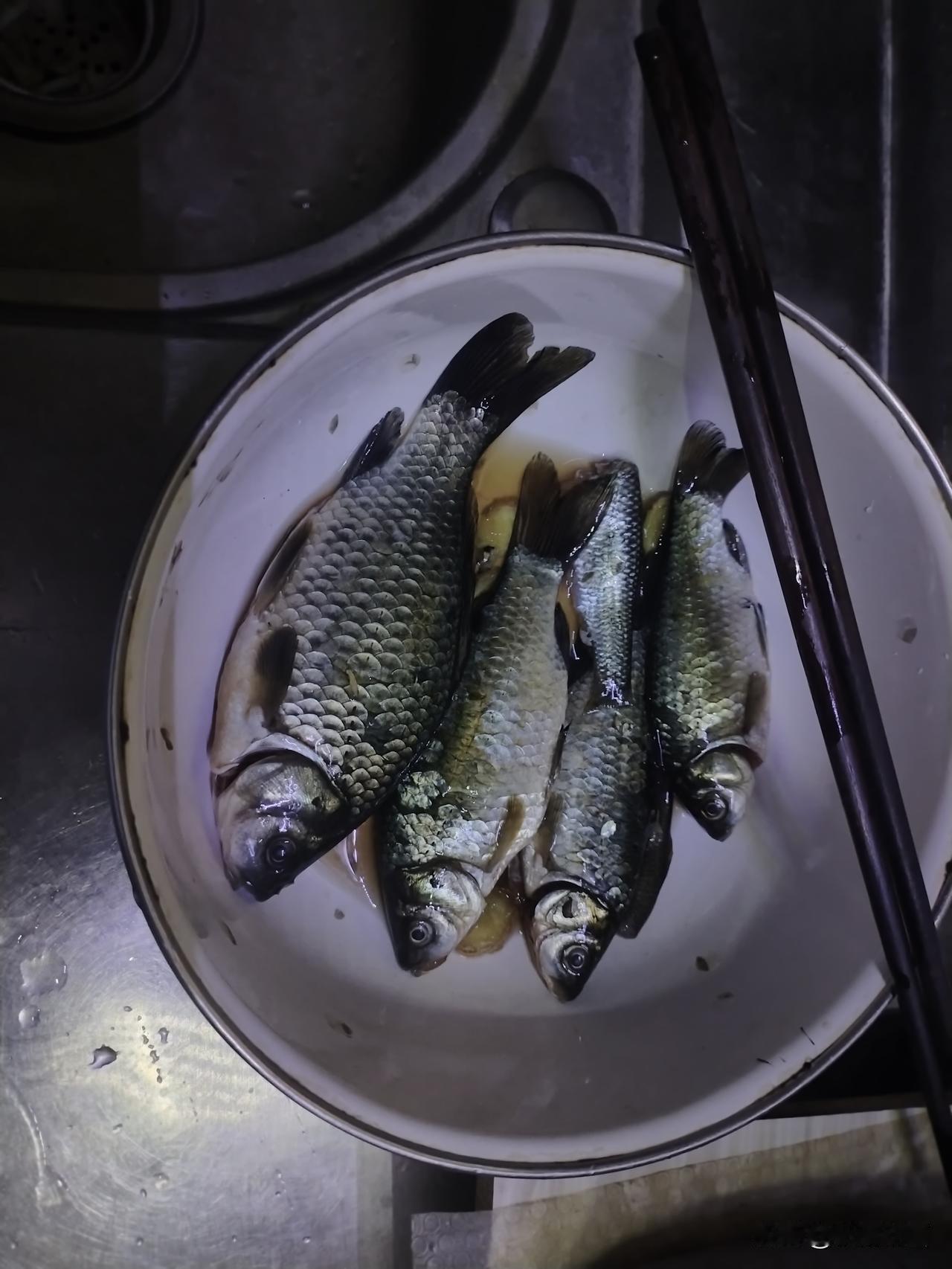 分享我这周有趣的事：父亲钓的鱼。天冷了，钓到的鱼也少了。