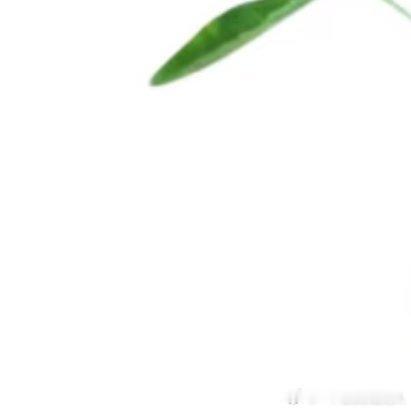 微公益种植空心菜种子的发芽技巧空心菜（又称蕹菜）是一种生长迅速、适应性强且易于种