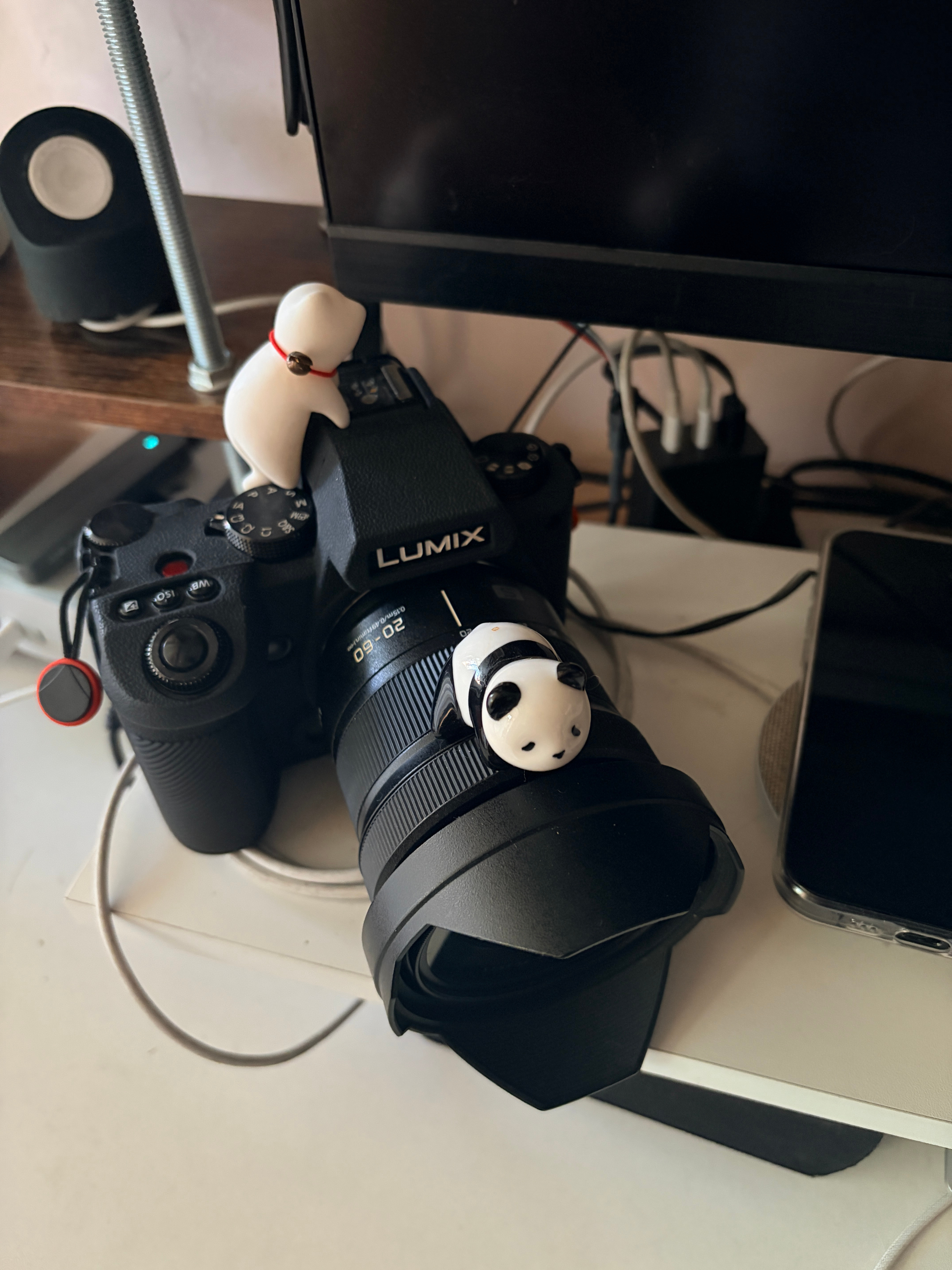 我的相机太久没拍照，落满了奇怪的小精灵🧚 