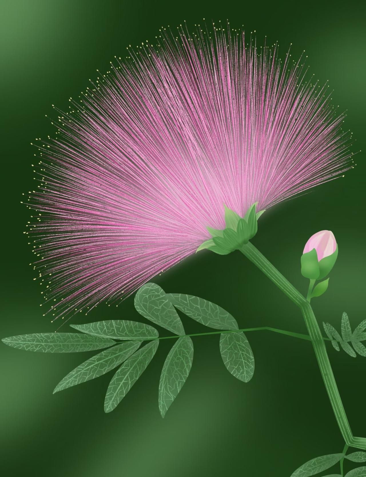 春日生活打卡季美丽毛蓉蓉的花