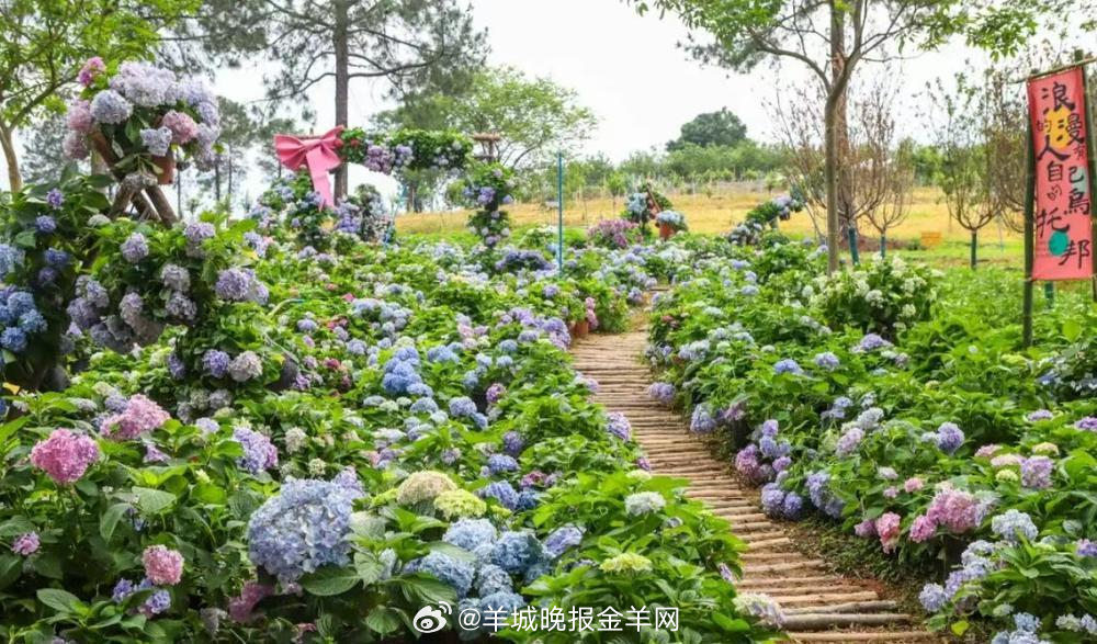 #早安#少一点只说不练的浮华，多一点言行一致的踏实。久而久之你会发现，靠谱，才是